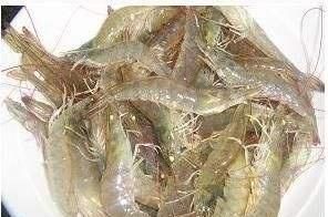  白水|白水煮虾“最忌讳”的动作，10人9个都做错，难怪虾肉不嫩有腥味