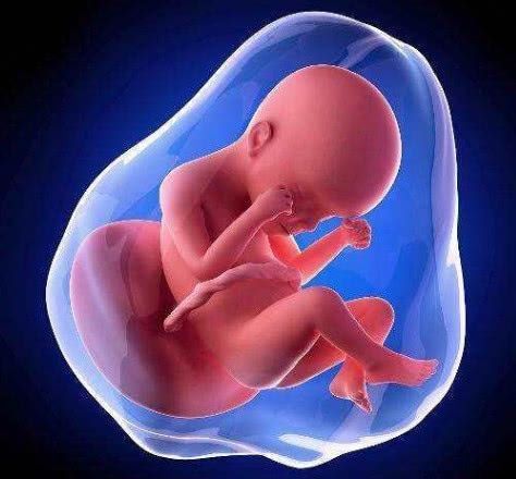 信号|医生：这5大信号，意味着卵子顺利着床了，别因粗心害了宝宝！