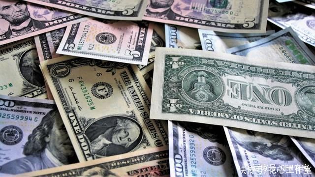  美元|《美元纸币特写》双尾蝎-协助拍摄