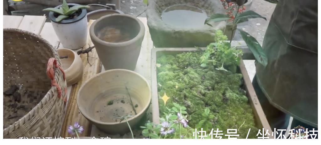 女生日记|《向往5》开播至今,两位最受欢迎的飞行嘉宾出炉,杨紫占据一席