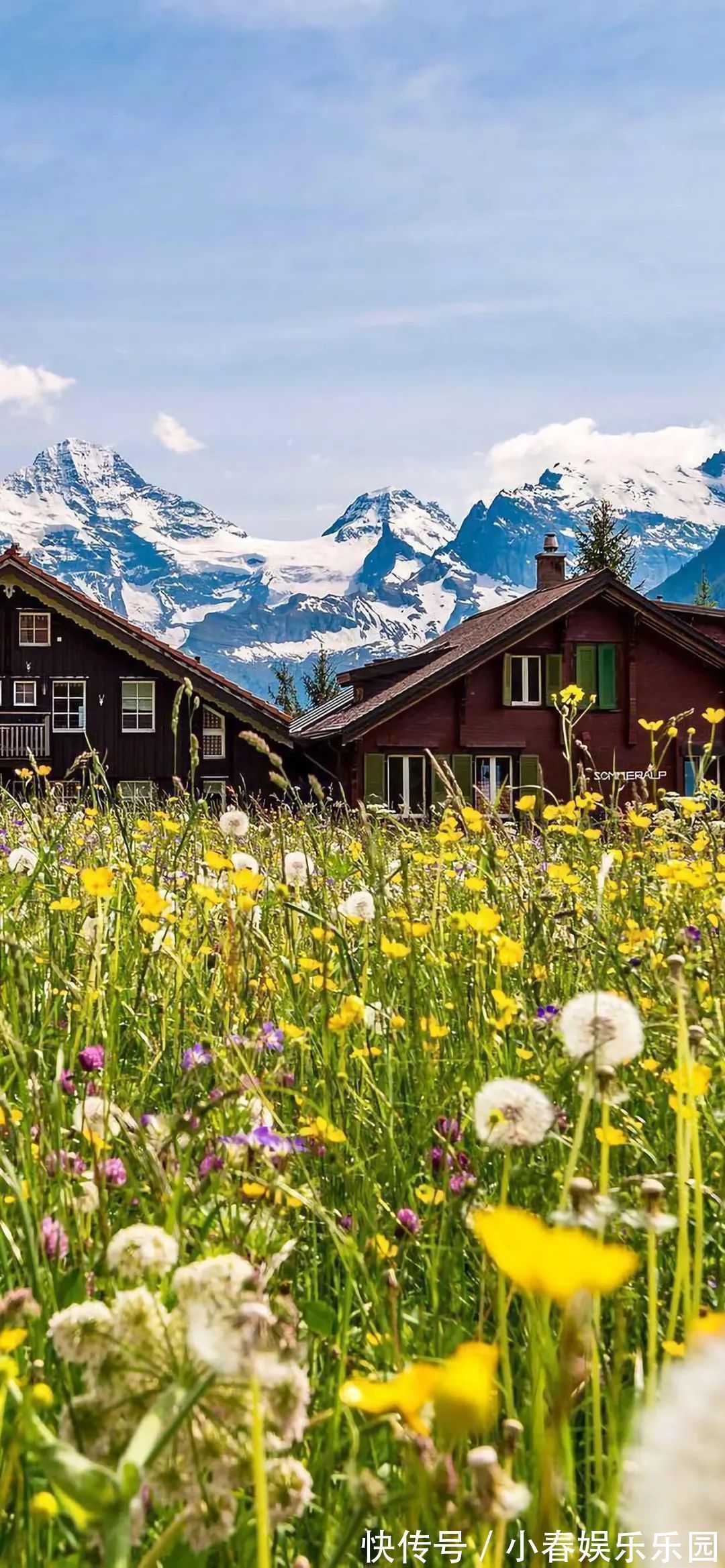 小姐姐壁纸丨一声梧叶一声秋,一点芭蕉一点愁,三更归梦三后