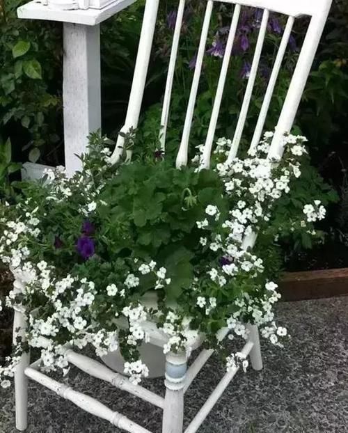 花盆|用这3样东西养花种草,既能展现废物价值,又能杜绝浪费