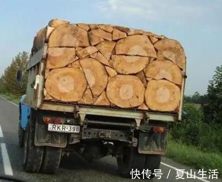 照片&这些照片巧妙得非常艺术,处女座看了很过瘾,连蛇也有“强迫症”