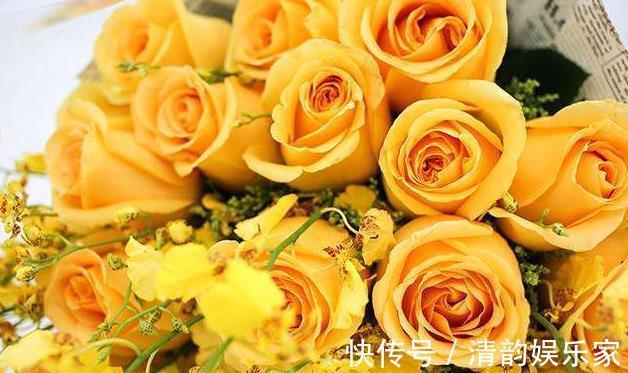 菊花|喜欢菊花，不如养盆“精品玫瑰”金香玉，花开金碧辉煌，高贵优美