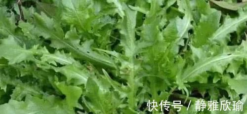 食物|高血压别再发愁了,常吃6种食物,可以帮你稳定血压更健康