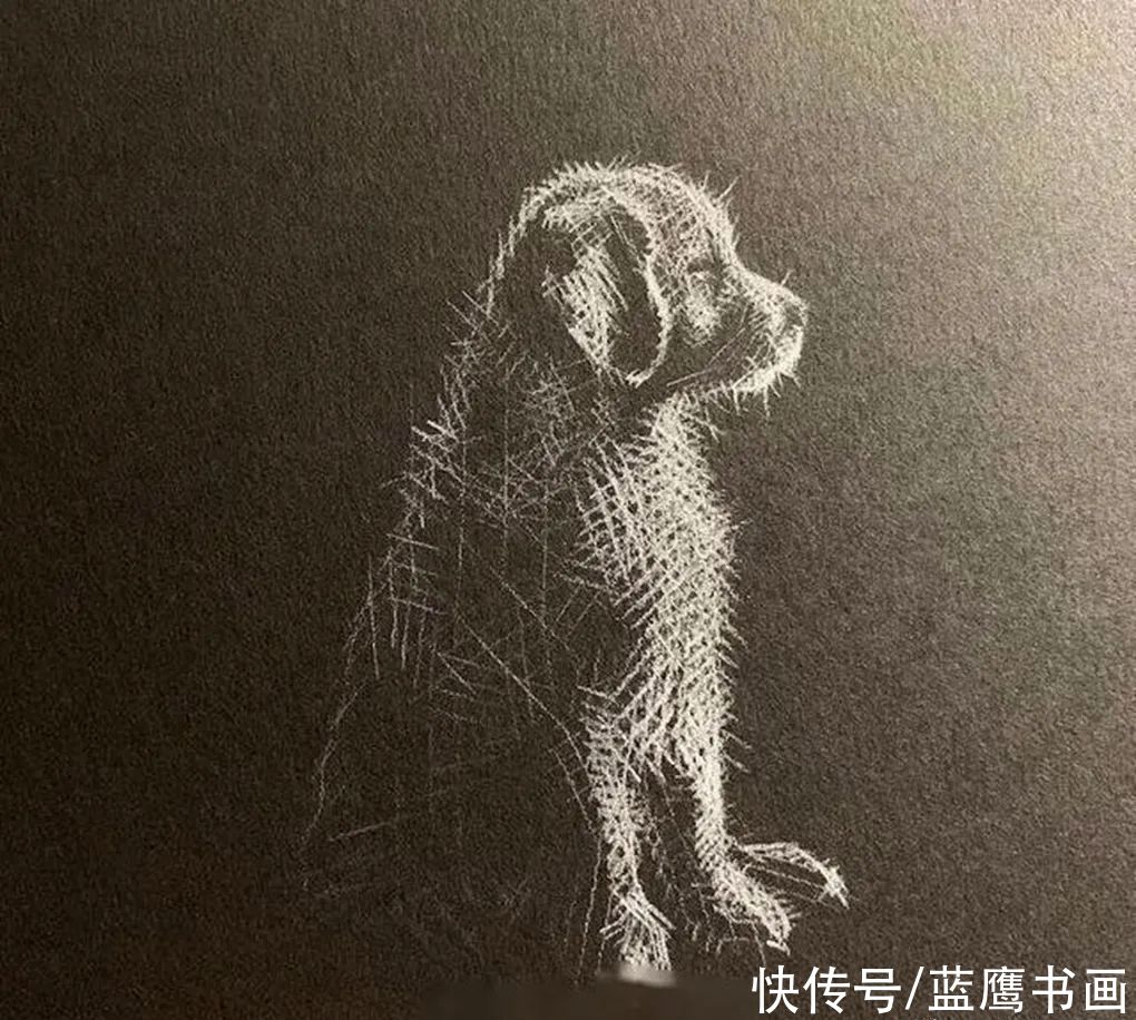  黑色|用白色铅笔在黑纸上画画，李羿慧寥寥几笔，却让人感到妙趣横生