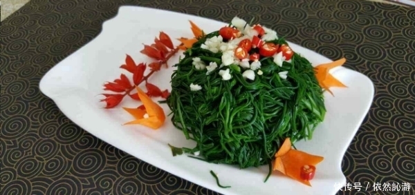 你可能连见都没见过的皇席菜,它含有18种对人体有用的有益菌!