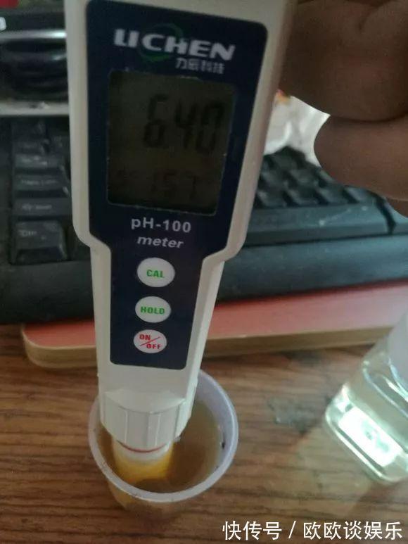 茶叶水、淘米水，多做1步浇花，肥效超高，养花特好