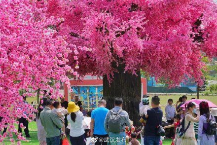 乡村|端午小长假，武汉乡村休闲游吸金超8400万