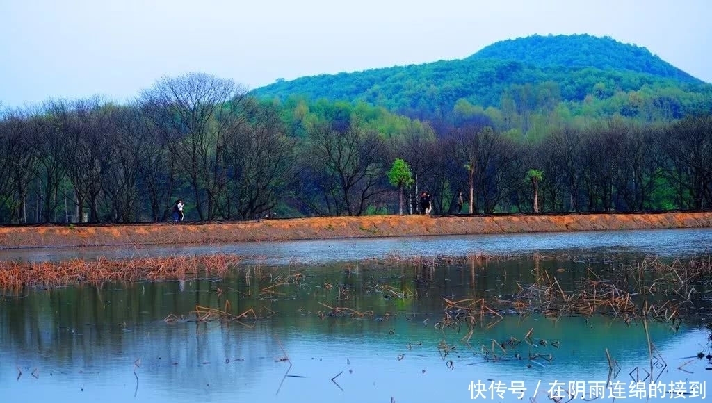 河南确山：梦里水乡，美丽常庄