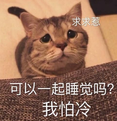 “南方人穿拖鞋到东北旅游?!”哈哈哈哈哈哈哈哈哈