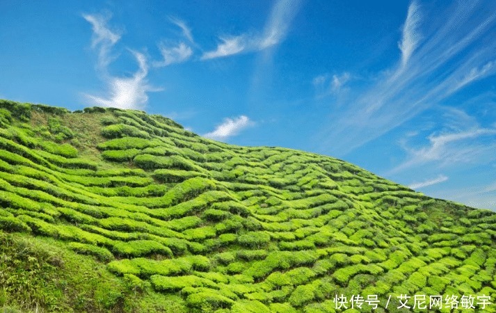  正是|俗语“人到四十五，正是出山虎”，祖先的至理名言，早点知道好！