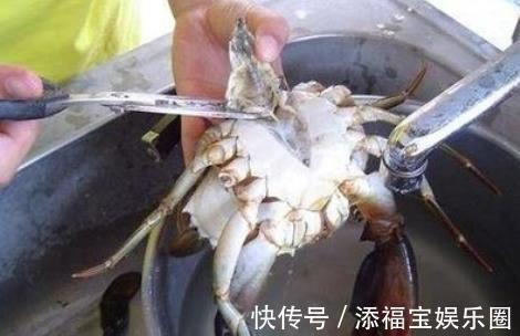 好吃|螃蟹要蒸几分钟：热水好还是冷水好：内行人教你一招，鲜嫩又好吃