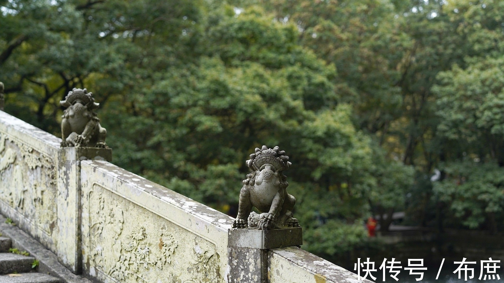 衣饰|2021年12月6日,星期一