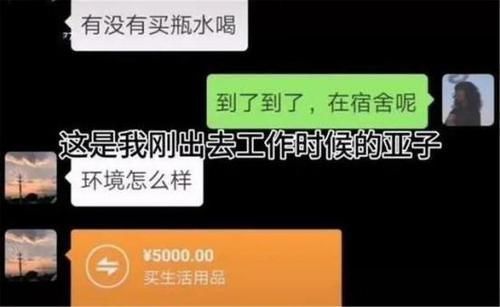 聊天记录|“转账爸爸”走红,隔着屏幕都感受到宠爱,聊天记录让人酸掉大牙