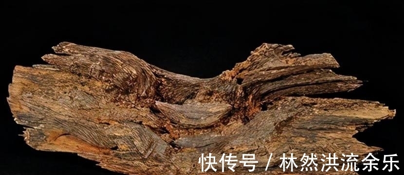 井水|章华寺有口“谜”一样的古井，僧人下去清淤，还在井底发现了秘密