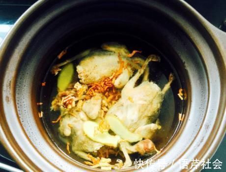 一鸽胜九鸡，炖鸽子汤焯水？教你正确做法，鸽子汤鲜肉嫩营养高