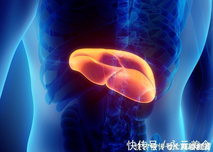 胆汁|肝脏的“黄金搭档”找到了，不是菊花，平时可劲喝，肝脏越发健康