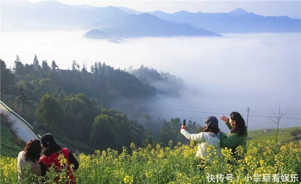 新安江畔,油菜花即将迎来最佳观赏期!