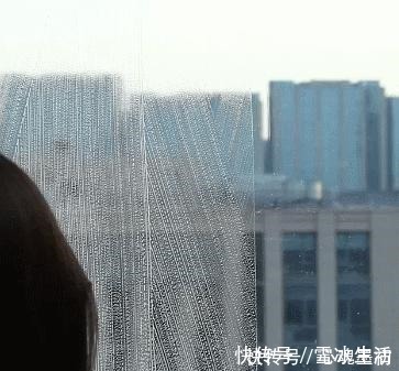 拉篮|这些家居用品不建议买贵的,多一分都是浪费,半年不到基本全扔了!