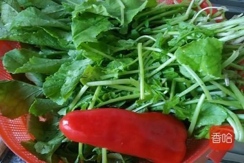 炒鸡蛋|这菜叶子别再扔掉了,比萝卜还营养,用来炒鸡蛋真香