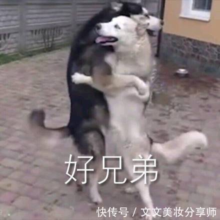 护肤|全球公认的大牌护肤整理,最好用的竟然不是LAMER,SK2都不配上榜