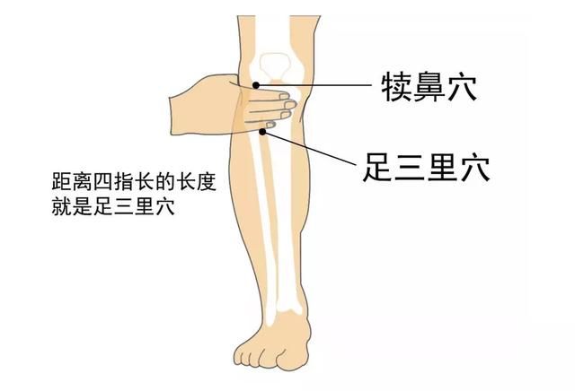 阳气不足|“秋冻”有个气温分界线！专家教你科学挨冻