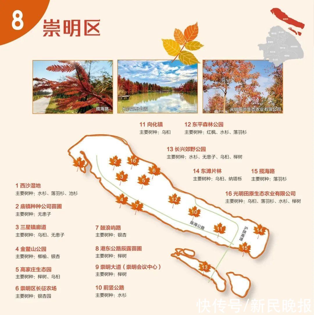 红叶|收藏9张“郊区红叶地图”！上海秋天真好看