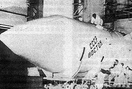 1957年,苏联将一只3岁的流浪狗送入太空,后来怎样了?