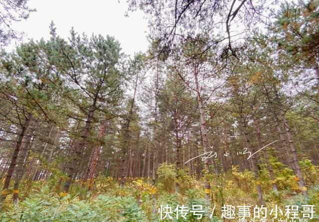 延吉市|吉林延吉的4A级景区，还是国家森林公园，免费开放却没什么游客