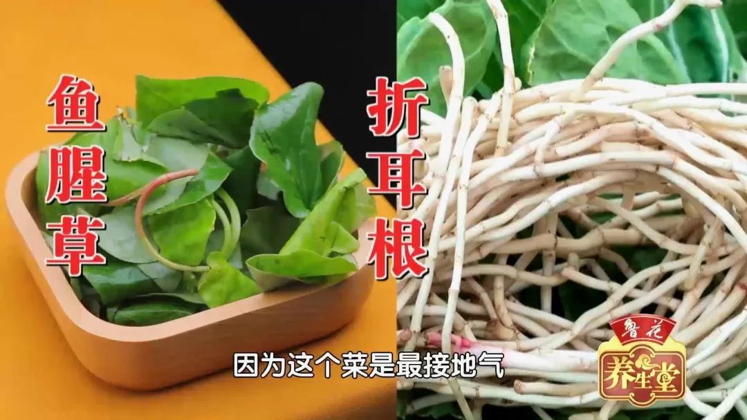 白豆腐|川菜中藏着“祛湿法宝”！搭配这三物，中和辛辣，保护脾胃