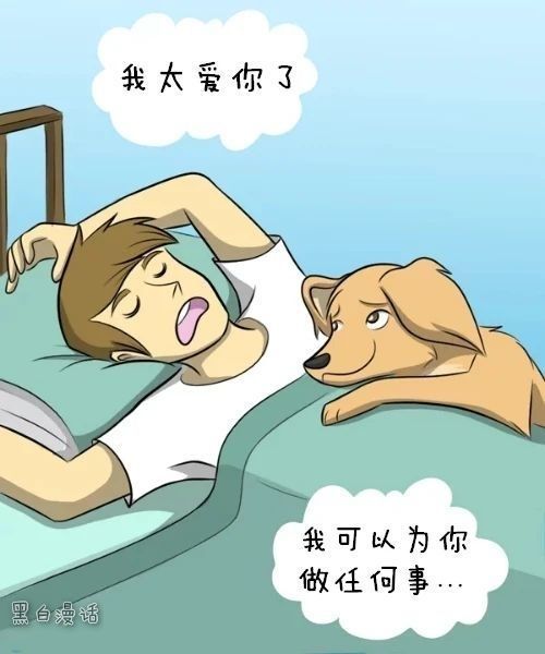 搞笑漫画：忠诚的狗子