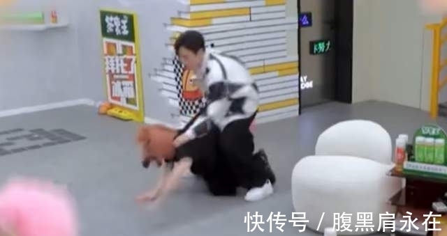 拜冰|《拜托了冰箱》王嘉尔被当马骑，引网友众怒，老牌综艺也翻车？