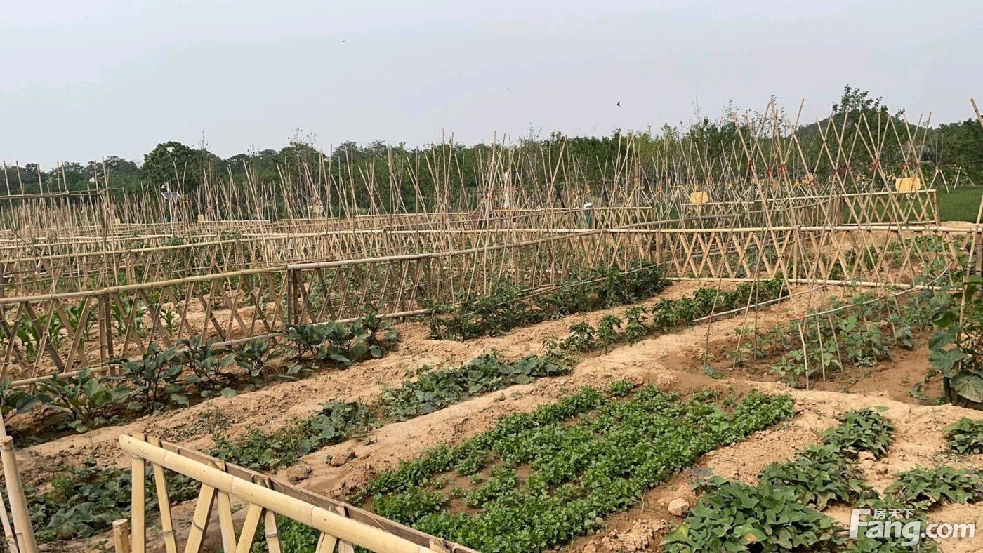 高速口|请查收从洛阳孟津热门楼盘现场传来多张谍照（组图）