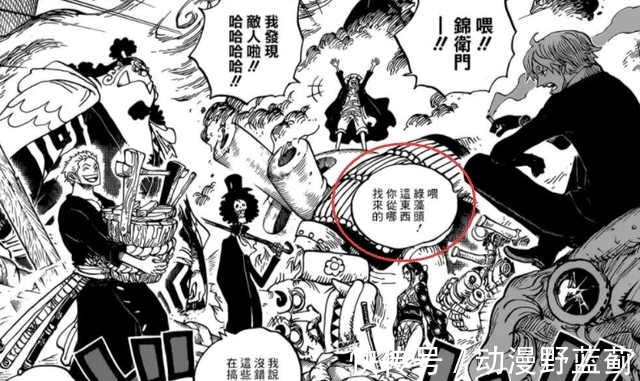 索隆|海贼王1011扉页细节:天王娜美傲视众人,等待草帽团第11人