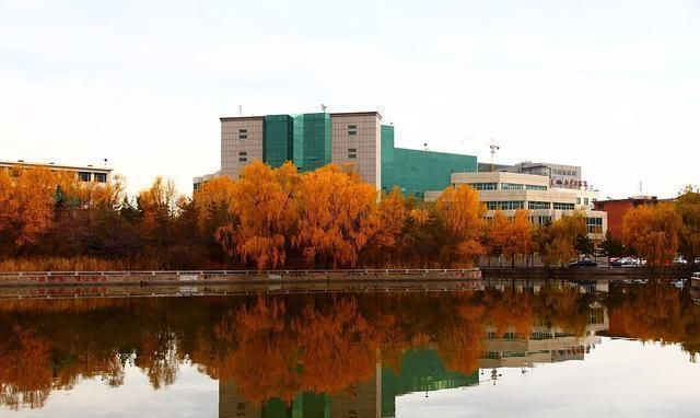 专科院校|都是大专，“专科学院”跟“职业学院”有什么区别？学历一样吗？