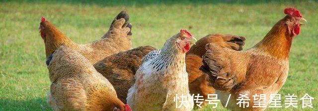 黑米|明天进三九,有钱没钱都要吃“冬补8宝”,美味营养足,温暖过冬!