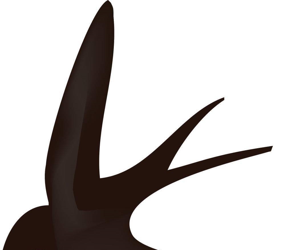 杜甫《绝句》(迟日江山丽)|睡前陪孩子听首诗| 黄宾虹画竹,笔情墨趣任天真\",\"i11\":\"名作