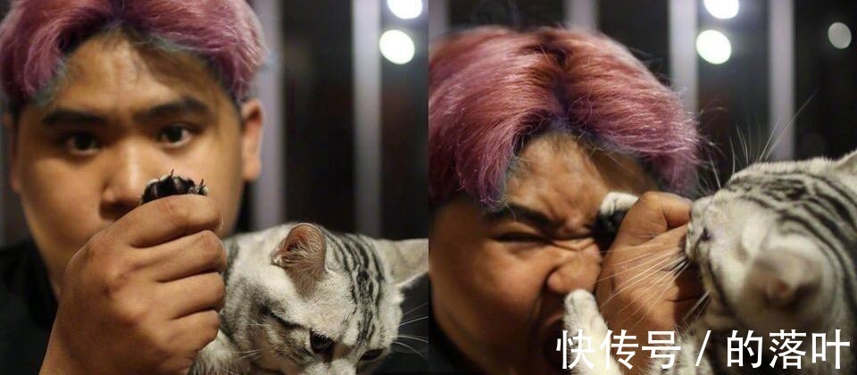 索隆|cosplay海贼王的男人,没有身材,用水果打破女人的垄断