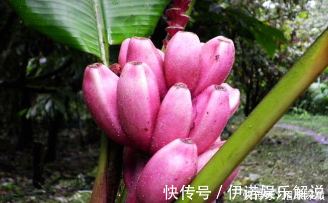 蜂蜜|经常便秘的人,记住多做2事,少吃2物,常喝一杯水,肠道更干净