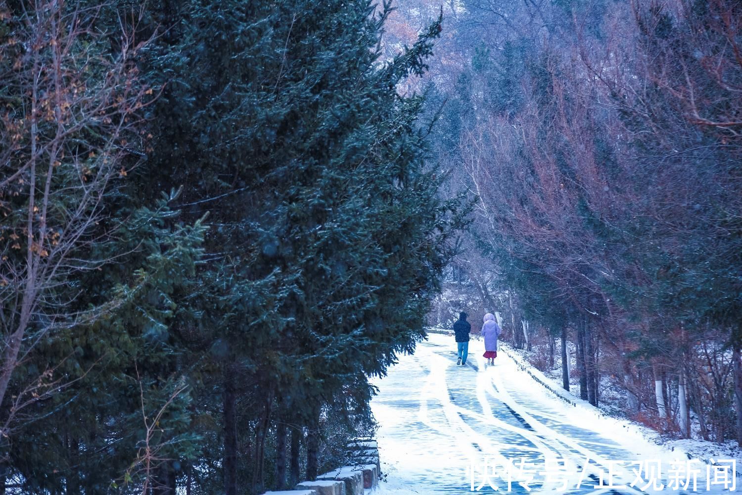 九如山|山东济南:九如山雪后银装素裹，飞瀑冰封