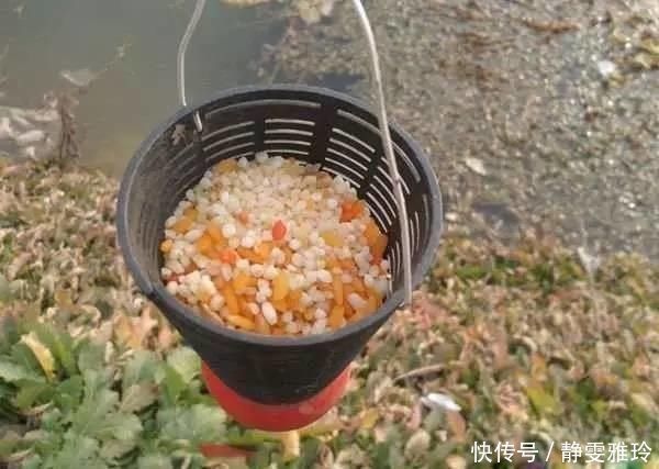 钓鱼|窝料打下去后,怎么都不发窝,到底是没有鱼,还是死窝了