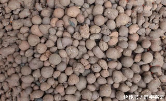 养花怕浇水多了烂根,盆里放几样东西,再也不怕水多烂根了