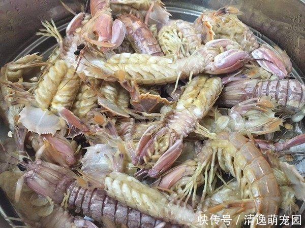  儿媳妇|夫妻回农村老家，父母准备一大桌菜，媳妇吃两口就不想吃了