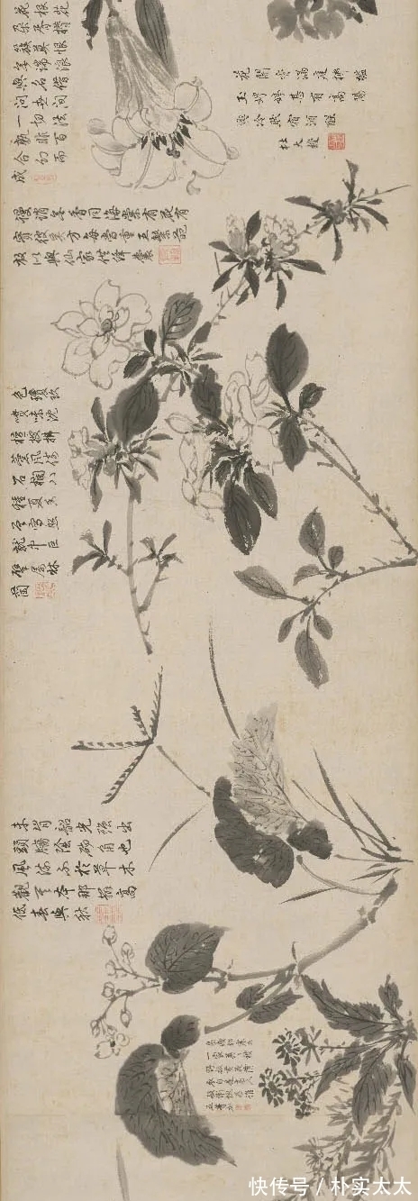 明代!周之冕|明代一位兼工带写的花鸟画家