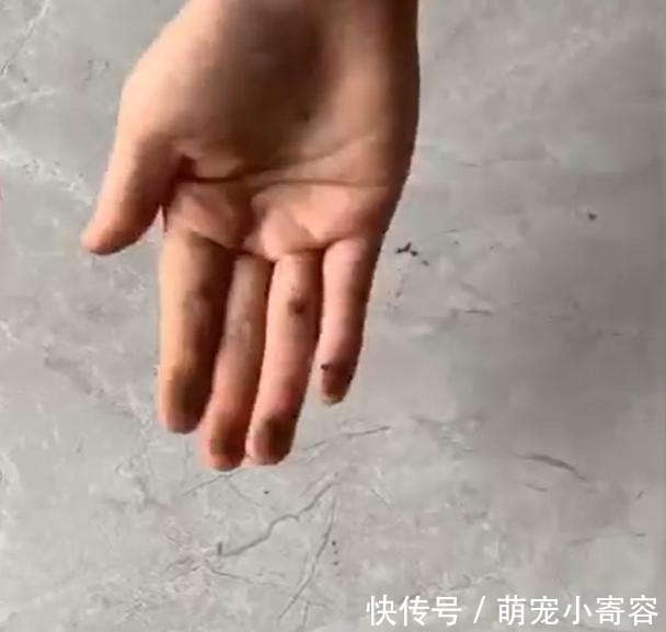 小发明|再见了洗衣粉!中国又一伟大的“小发明”,放一片,地板一星期不用拖