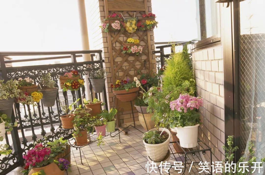 花卉好不容易熬过冬,初春这5点没做好,分分钟死给你看