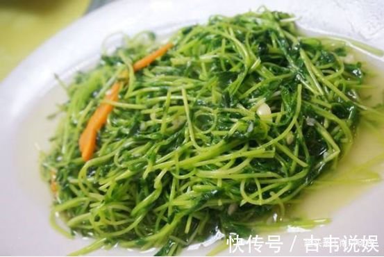 蒜茸香辣酱|10余款家常菜肴推荐,做法简单味道经典,好吃就多做几道