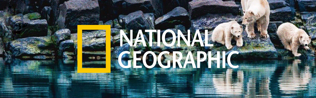 这光一闪，就能解开40年来的金星谜题？