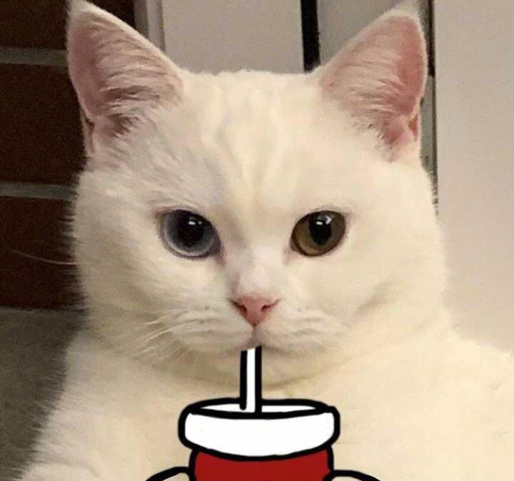 女人|月经不调危害大，备孕女人可“得罪不起”！